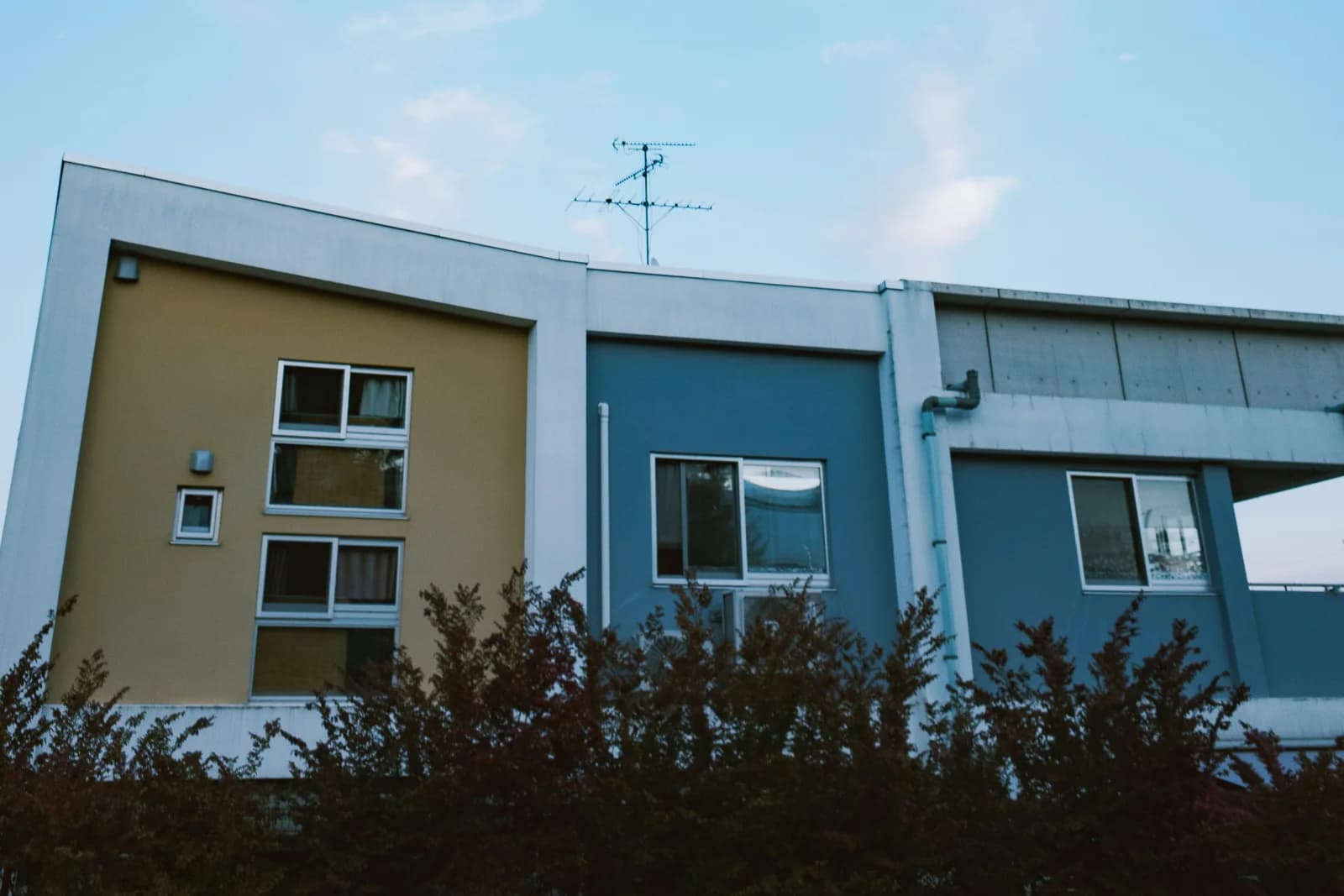 淡い空を背景に建つ集合住宅の外観。からし色と青灰色の外壁が並び、手前に生垣がある